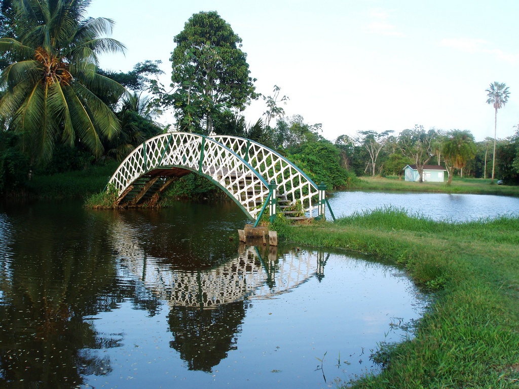 Bridge