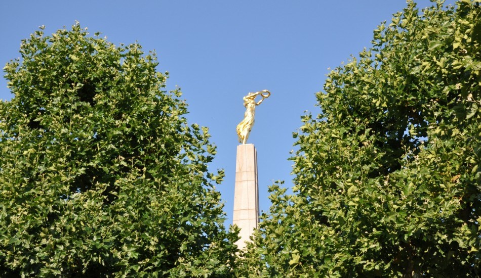 Constitution