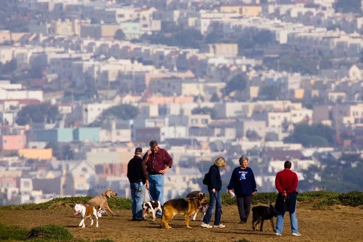 fort funston