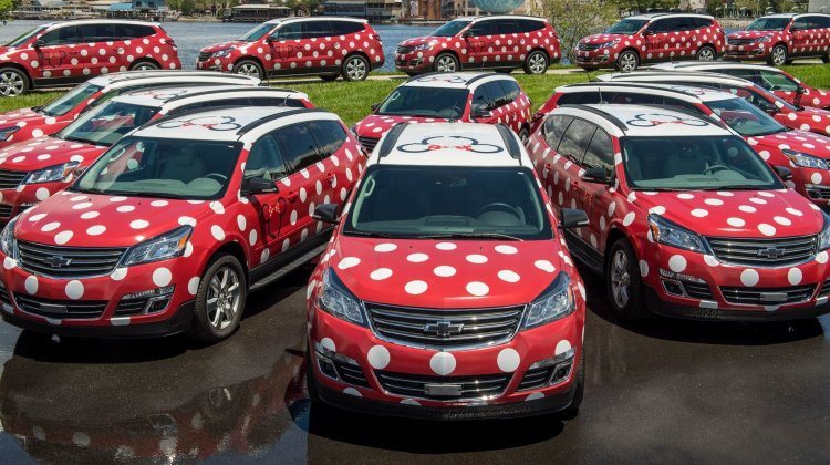 minnie van