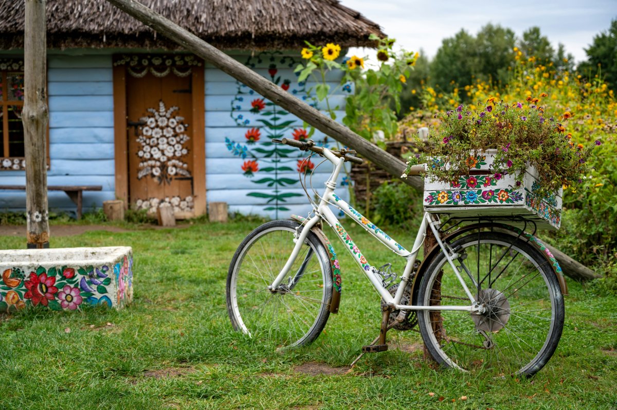 Zalipie, Polska