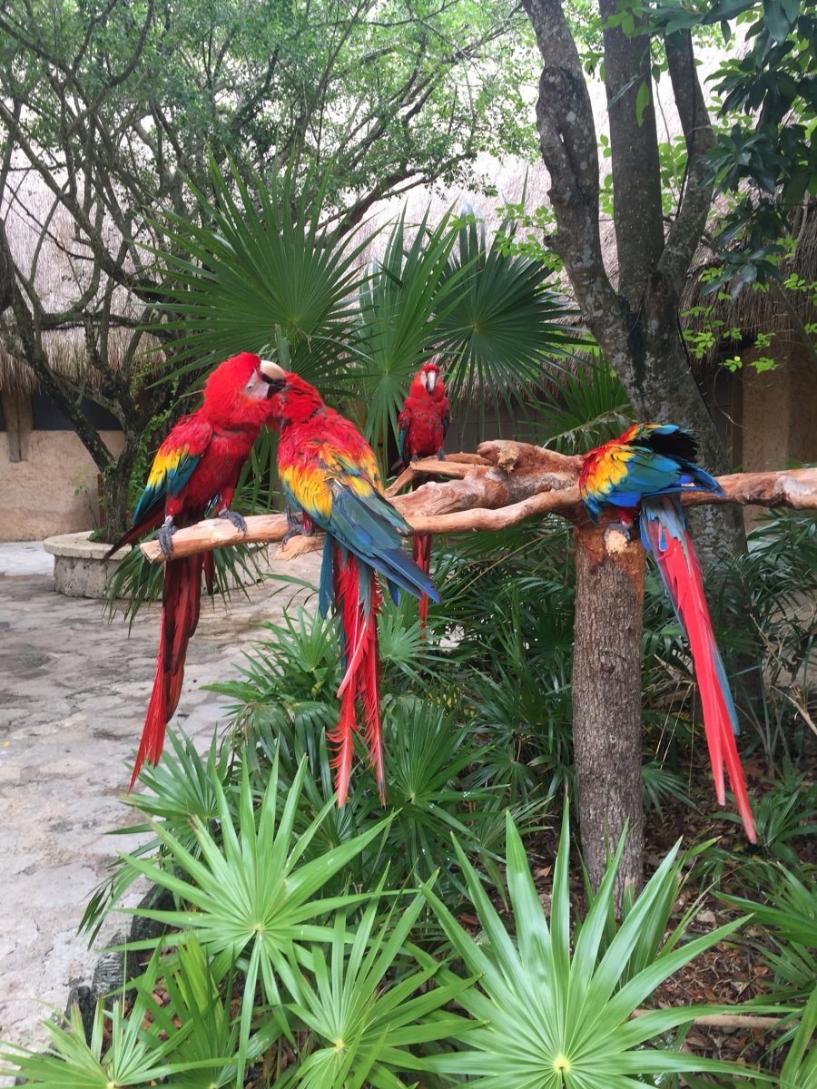 Xel-ha Ecopark