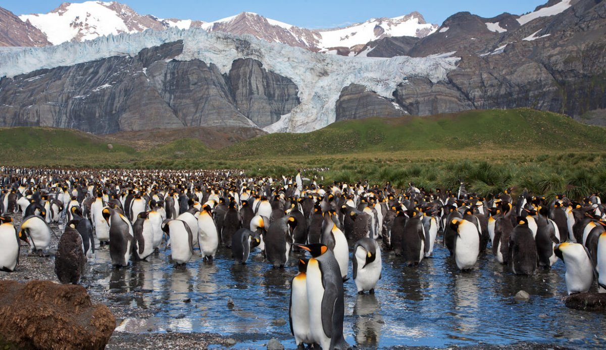 antarctica