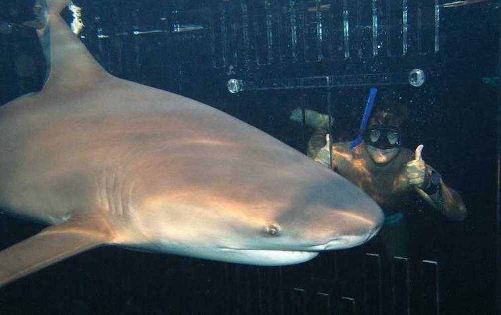 aquarium cancun