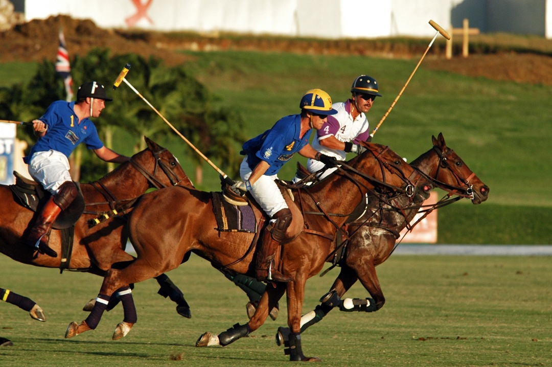 barbados polo