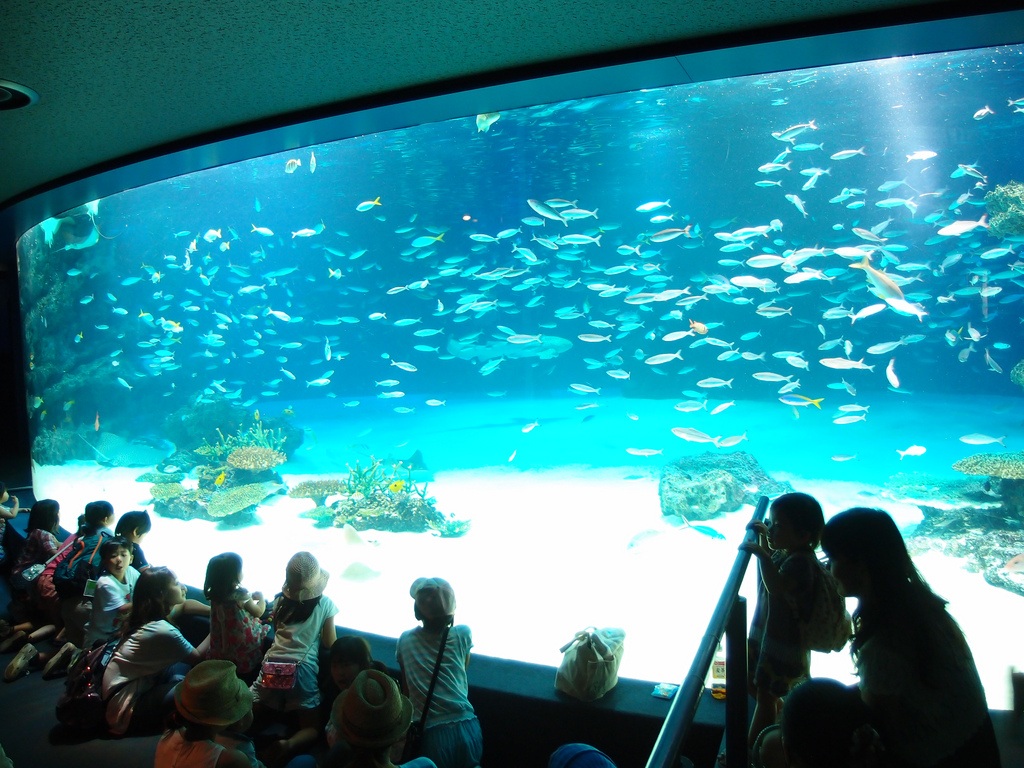 sunshine aquarium