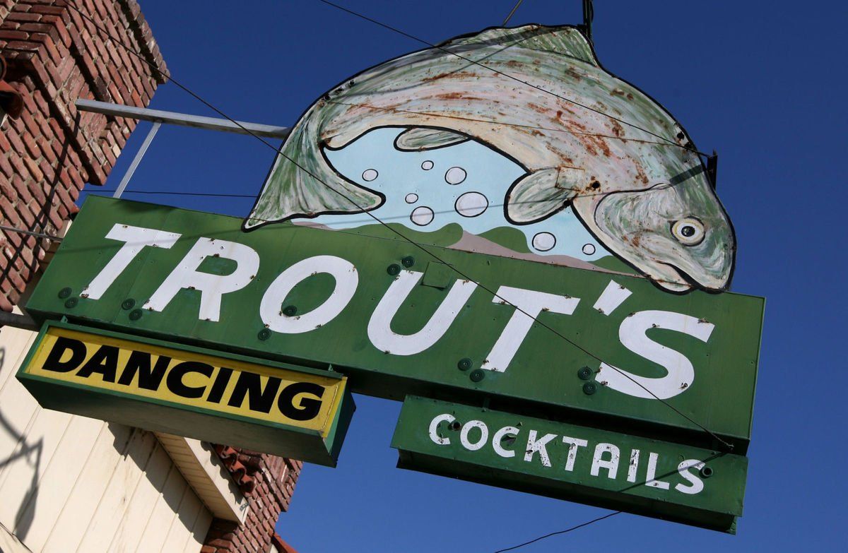 Trout