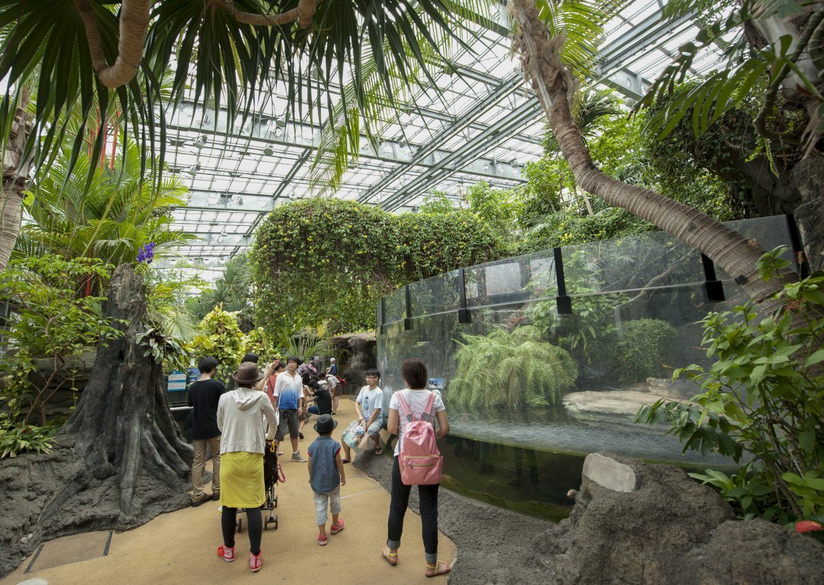 ueno zoo
