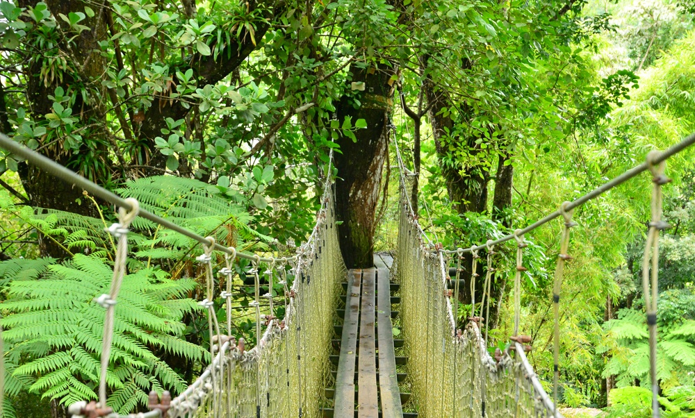Balata Botanical Gardens