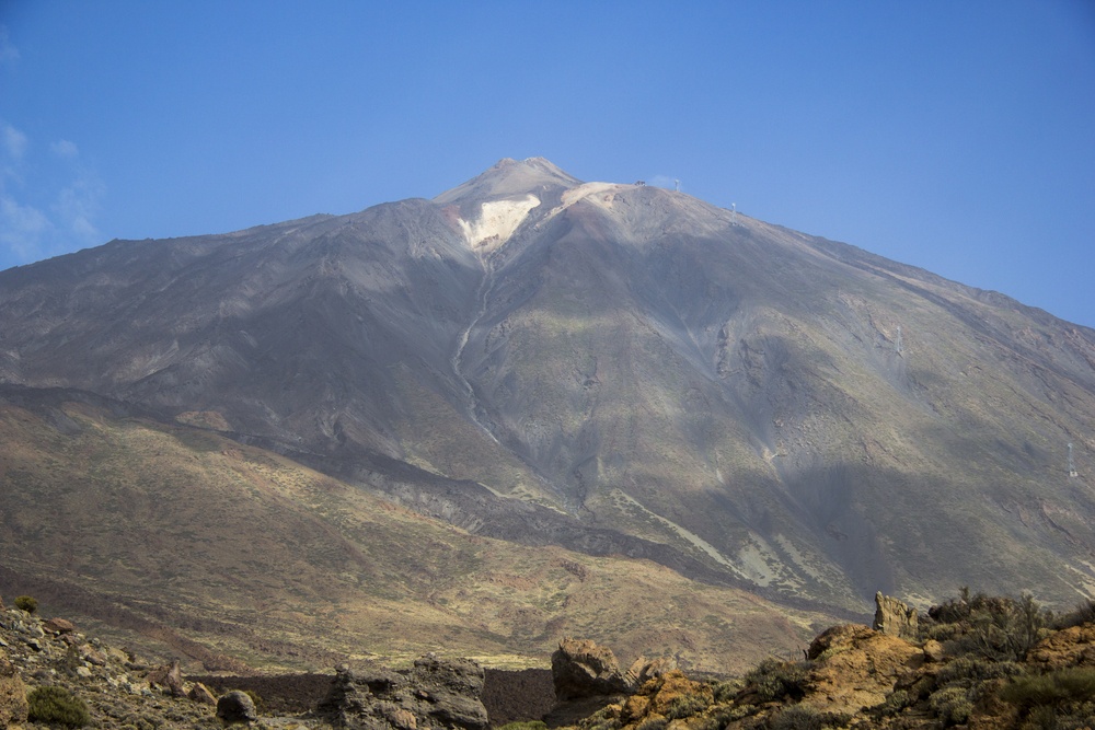 El Tiede