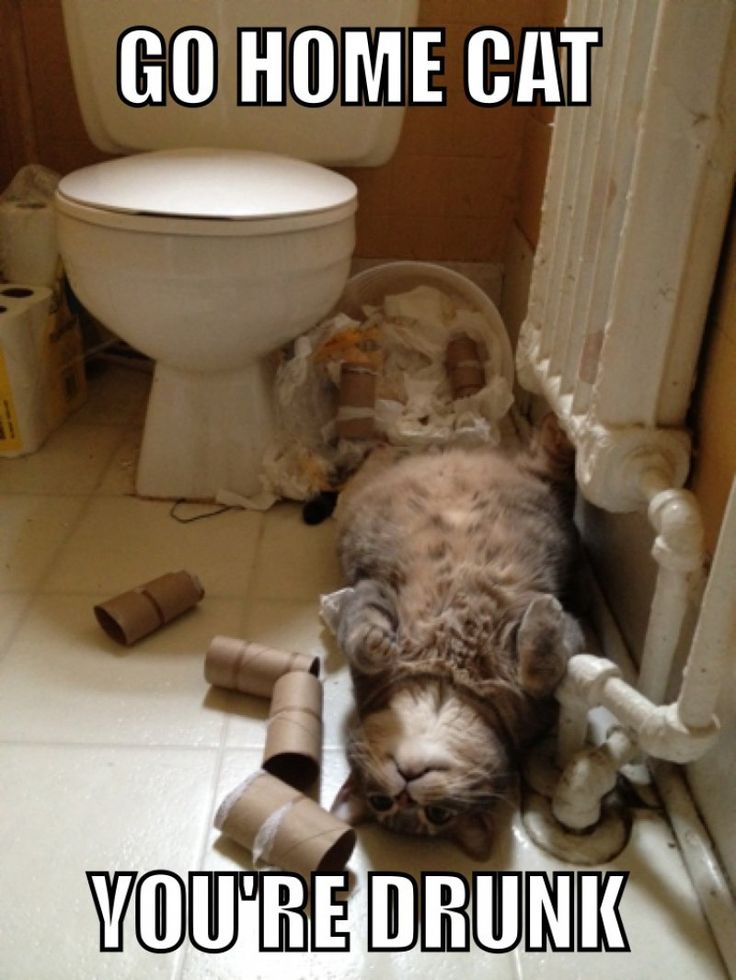 Drunk