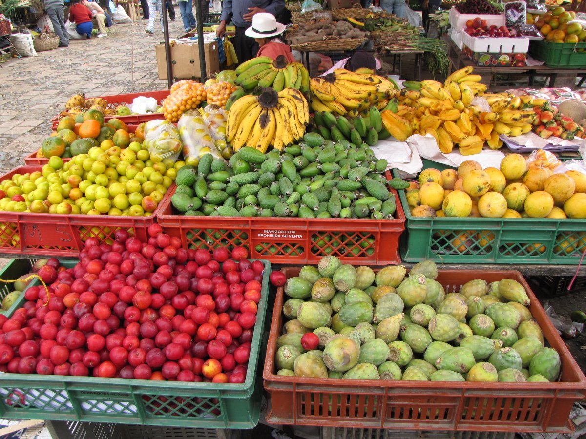 Fruit