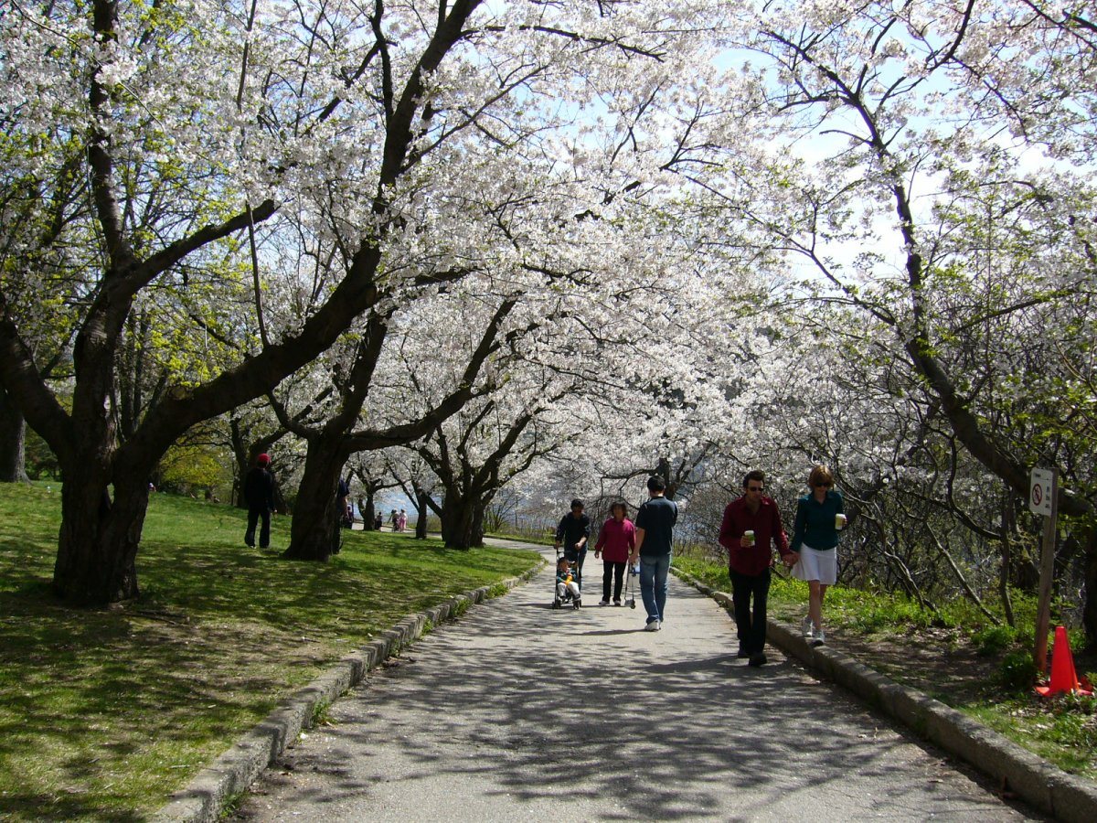 HighPark