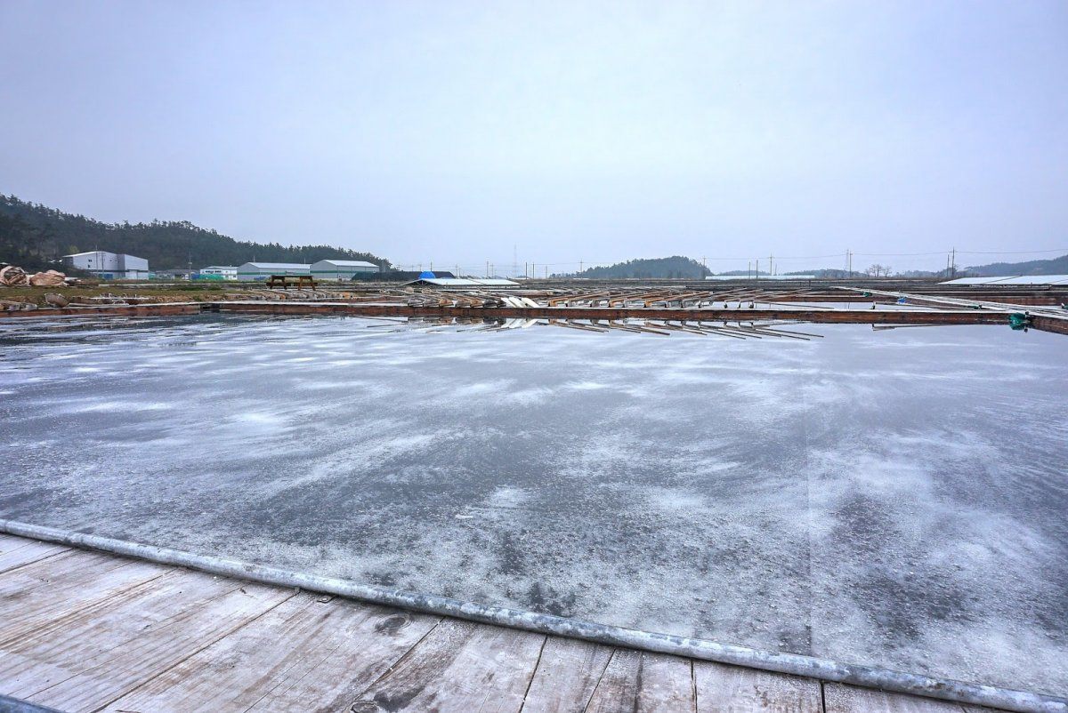 salt farm