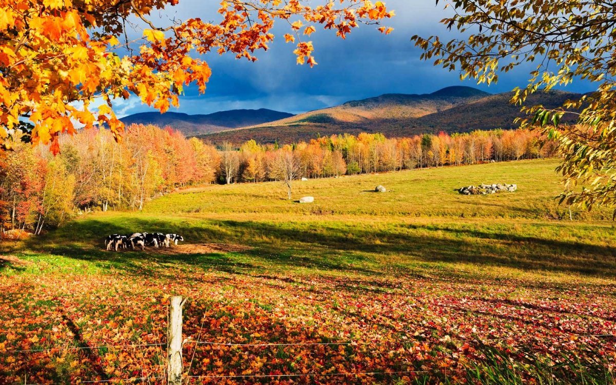 us fall travel increases