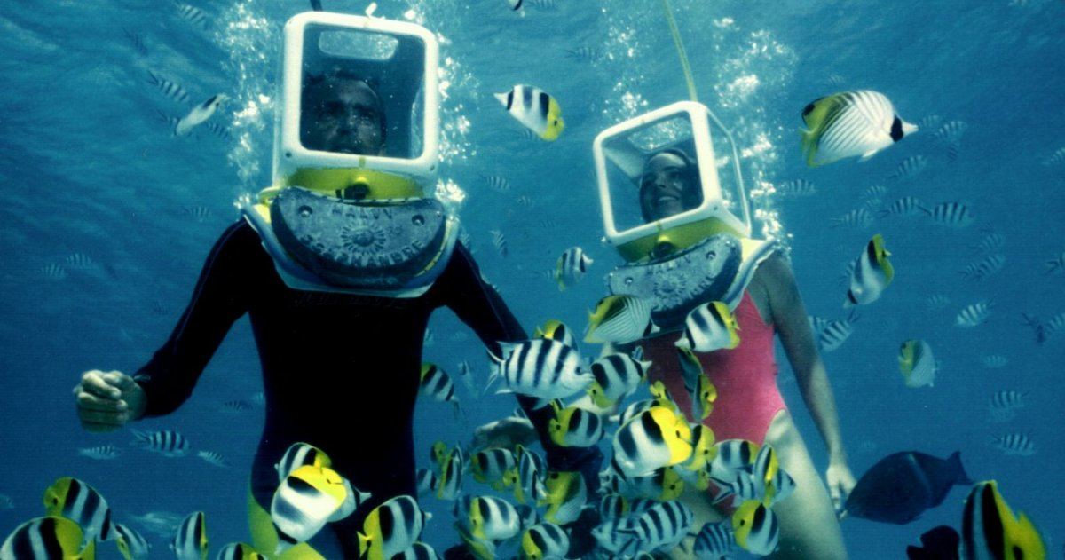 Aqua Safari