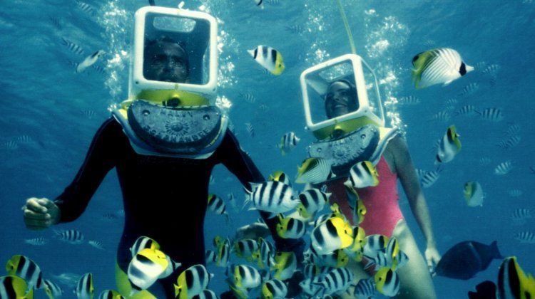 Aqua Safari