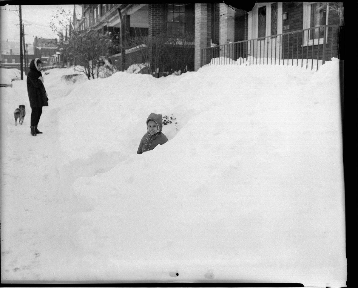 The Great Appalachian Storm of 1950