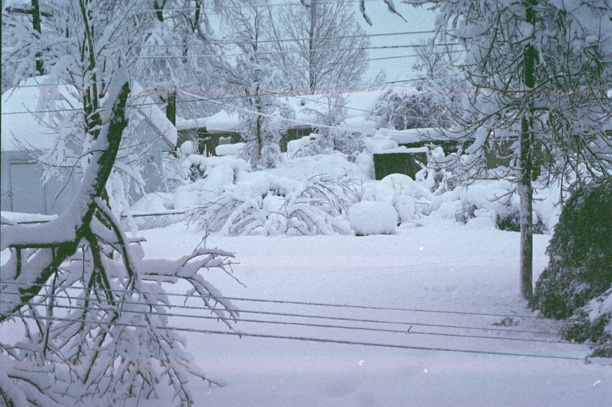 The Storm of the Century - 1993