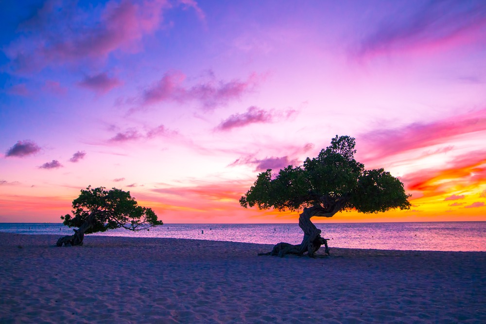 aruba