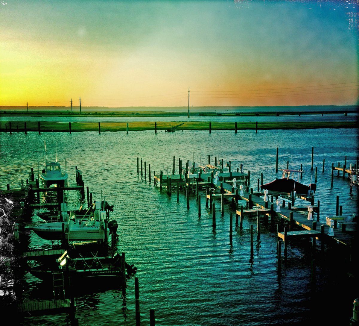 Chincoteague