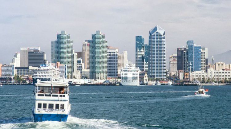 cruise