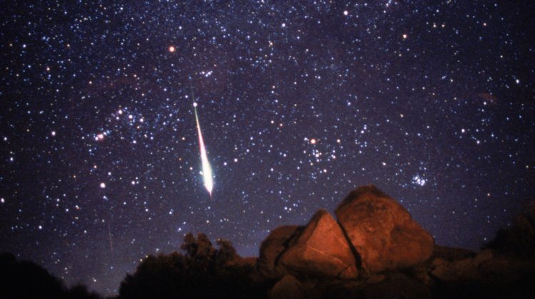 leonids