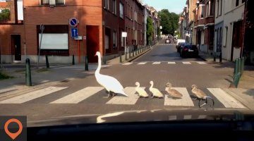 5 Things NOT TO Do in Belgium