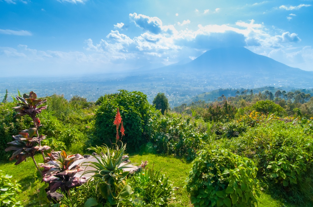 rwanda view