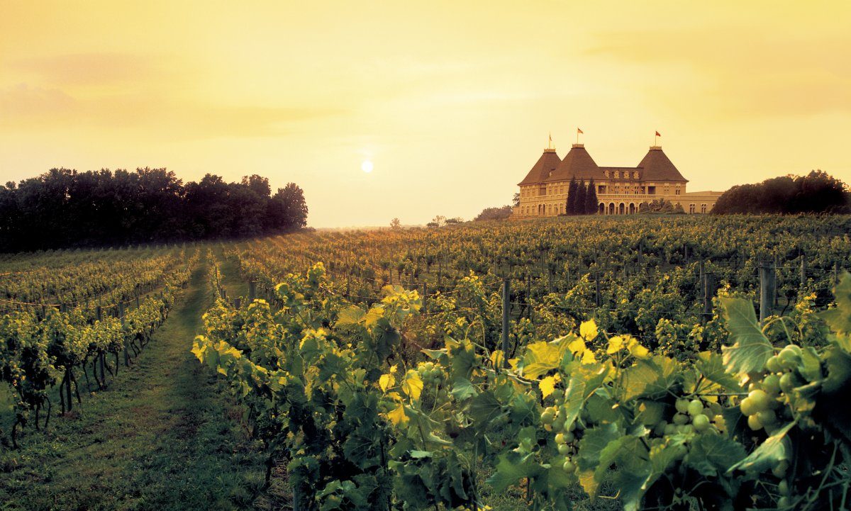 winery