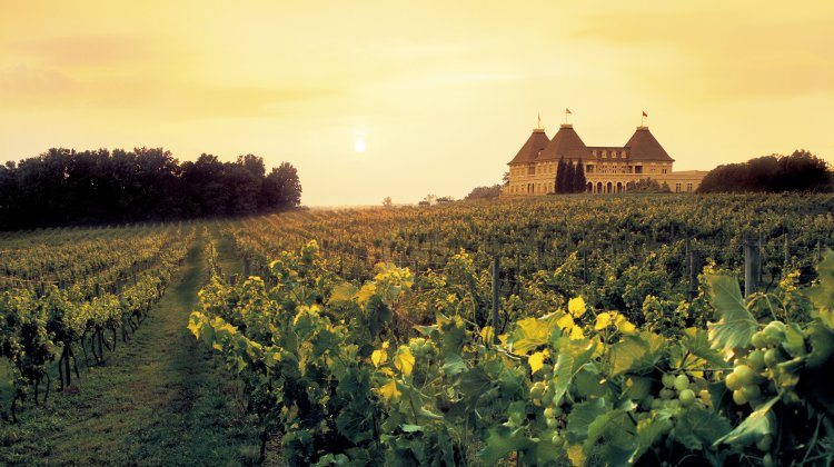 winery