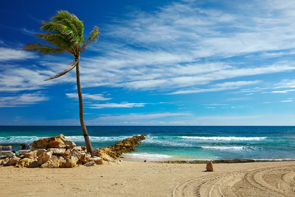 beaches