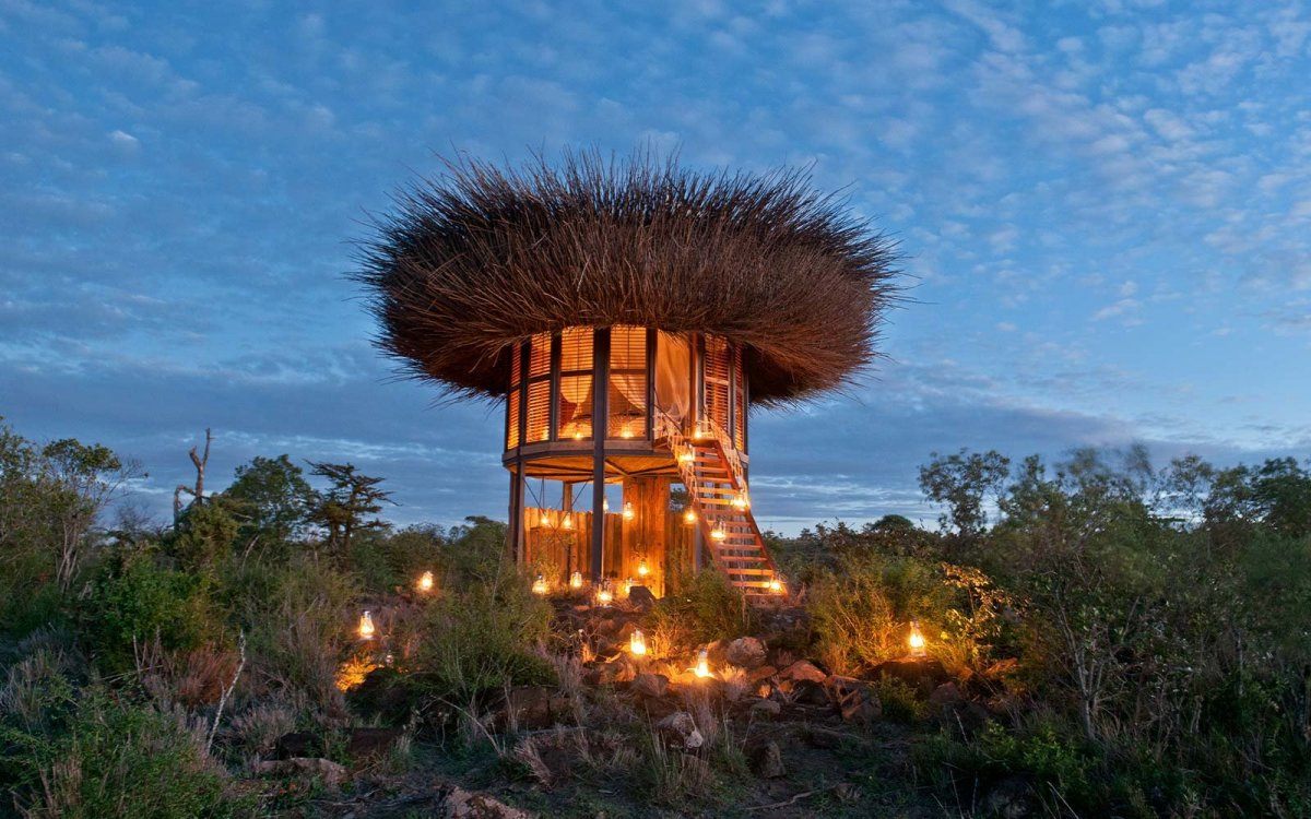 bird nest hotel