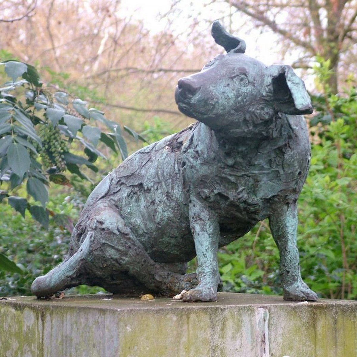 brown dog london