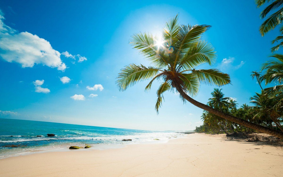 carribean