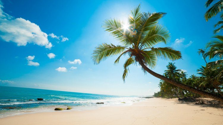 carribean