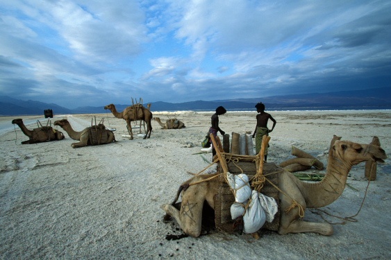 djibouti salt