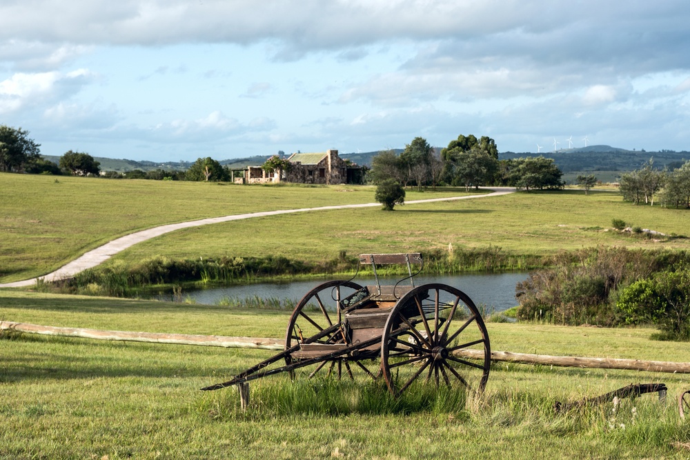 fields-of-green