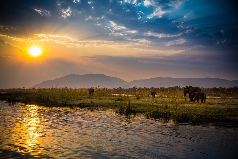 lower zambezi national park