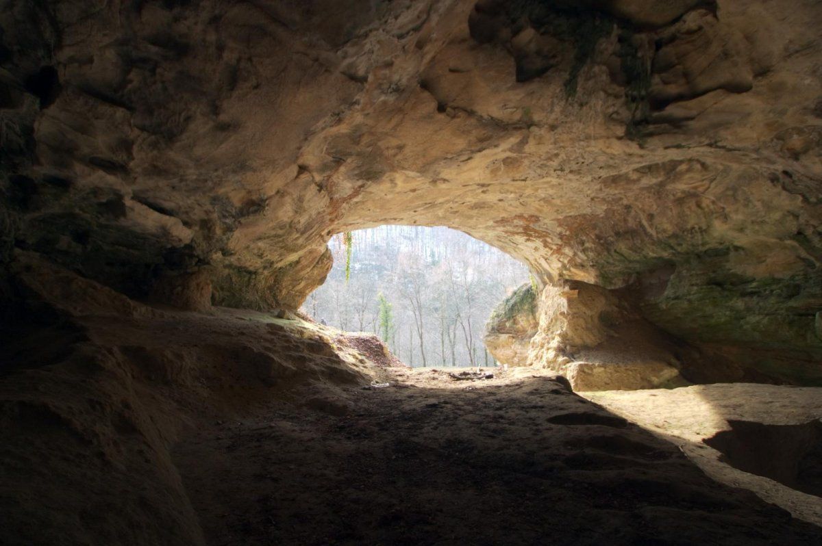 Neanderthal