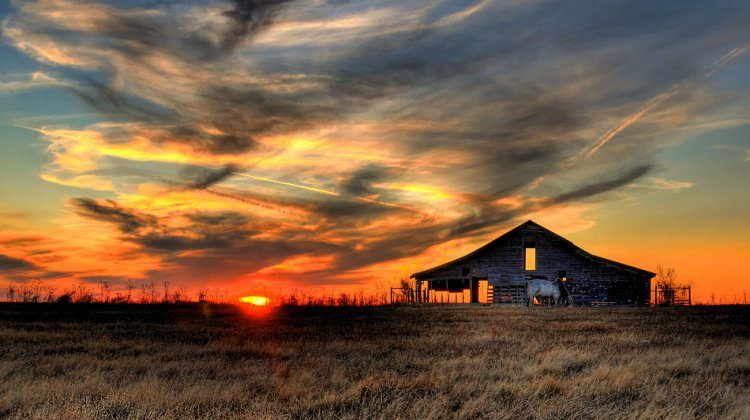 oklahoma barn