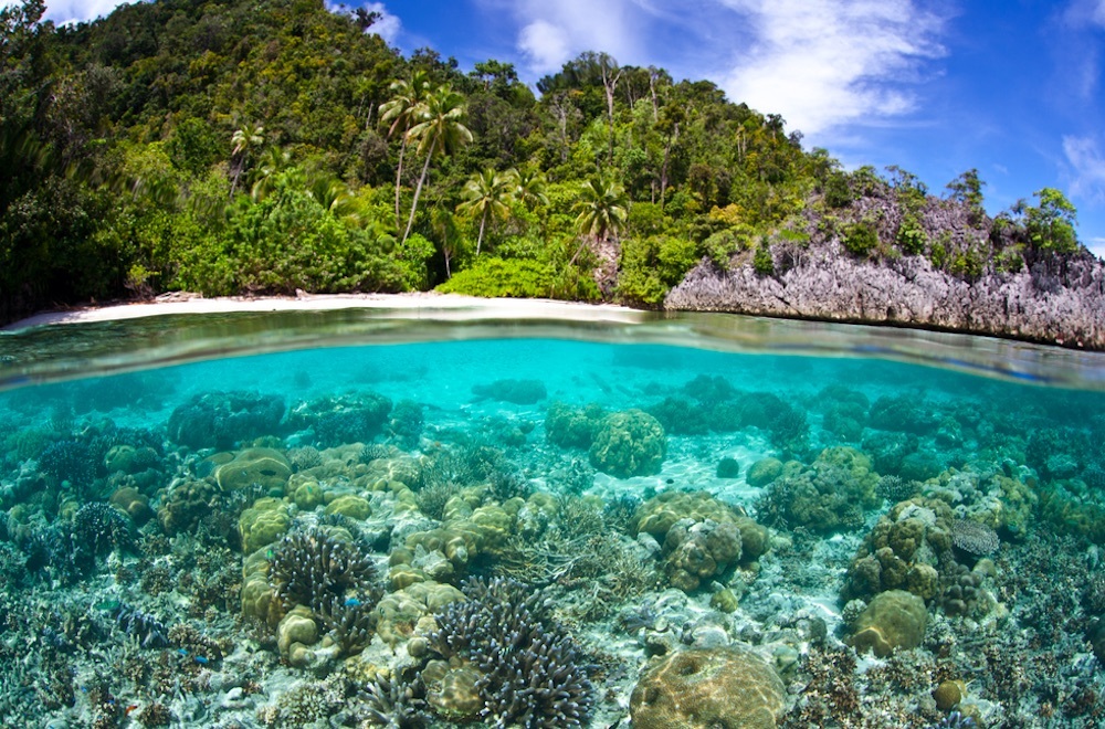 png country