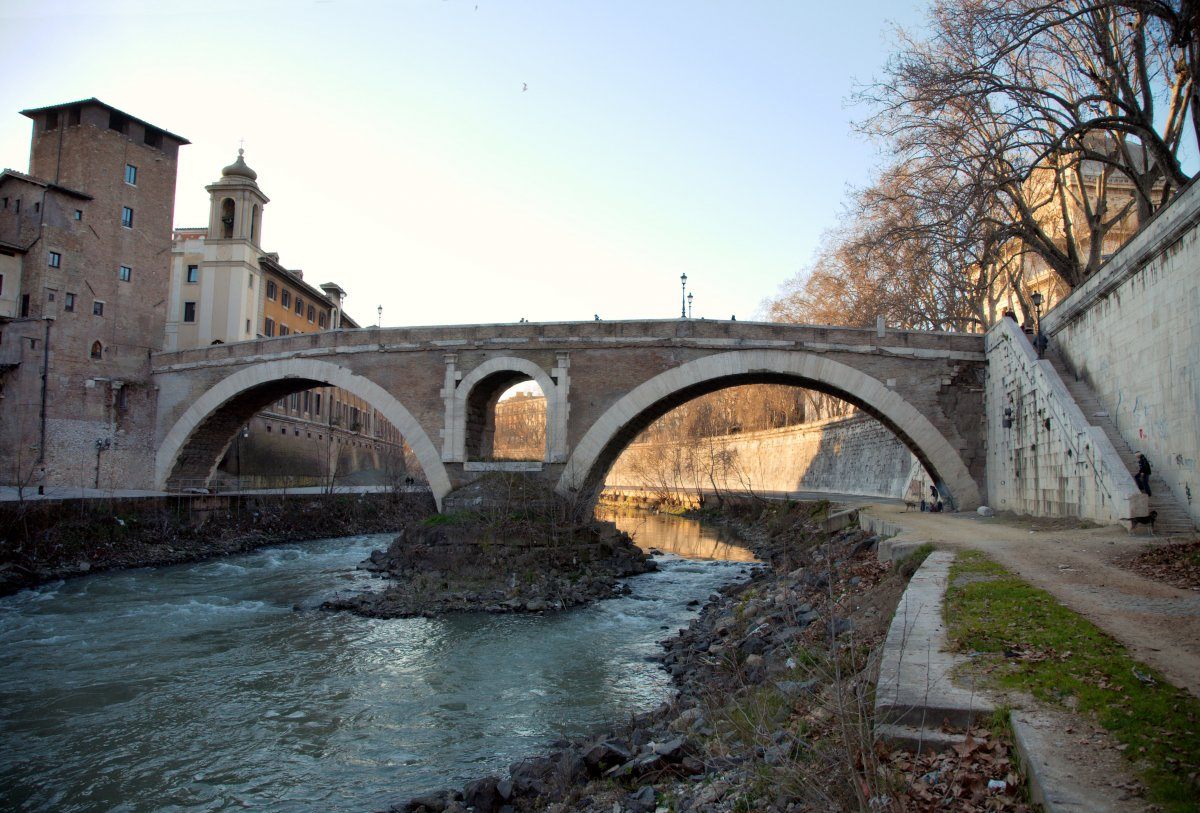Pons Fabricious