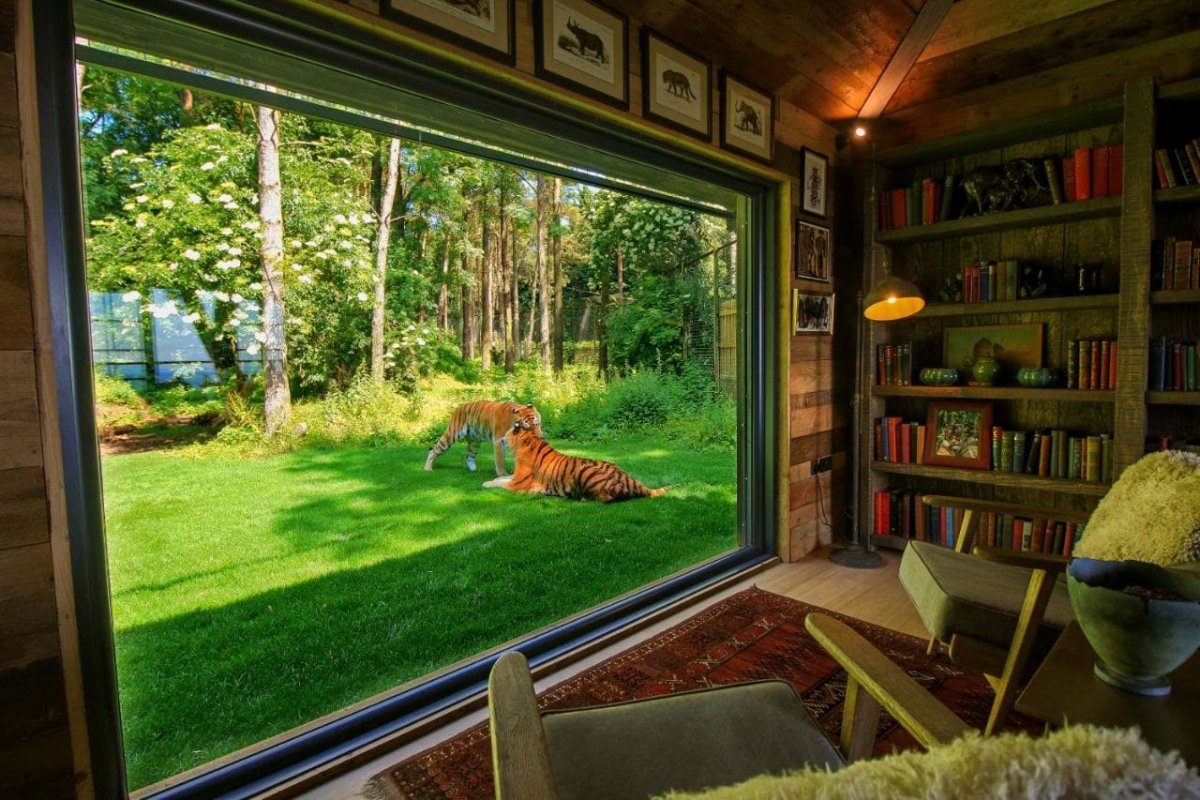 tiger lodge