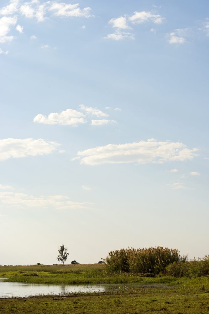 wetlands