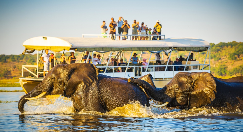 zambia national park