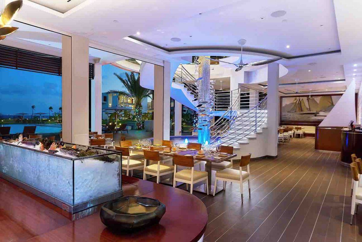 the reef