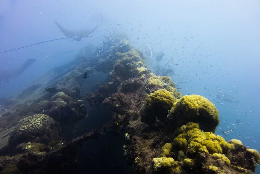 The Yongala Australia