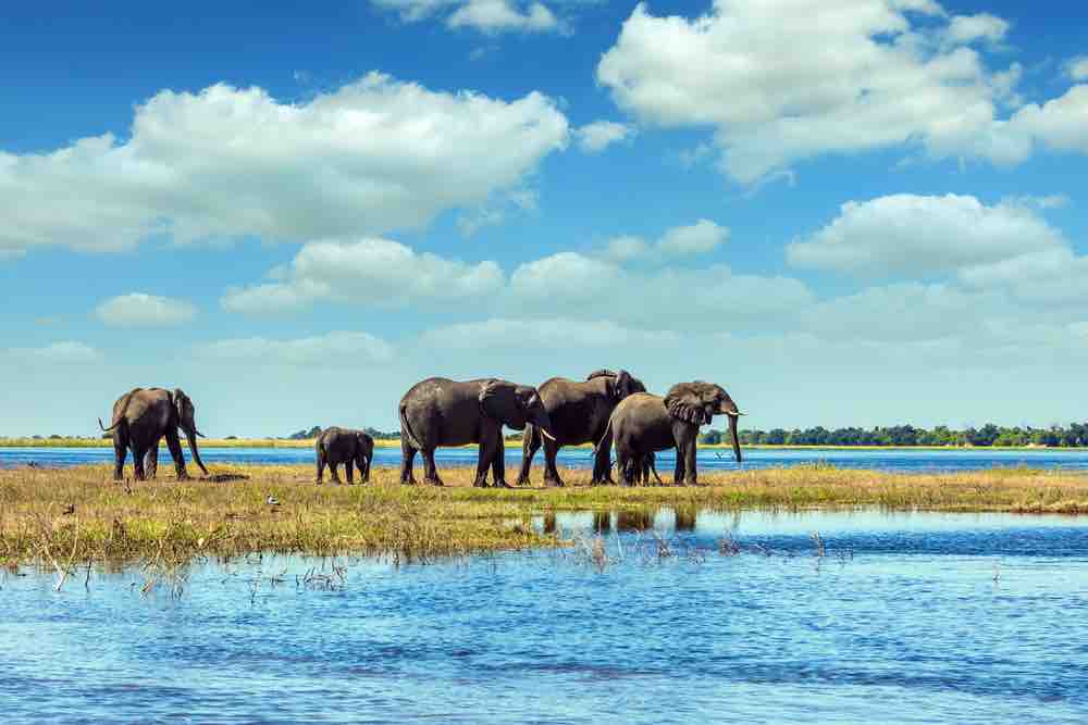 delta botswana