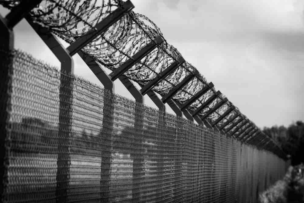 fence